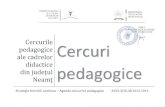 Cercuri Pedagogice Pe Discipline 2013-2014