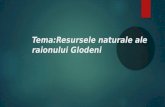 Resursele naturale r.Glodeni
