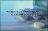 Infectiile Aparatului Genital Feminin