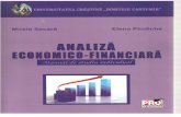 4 Analiza Economico-financiara