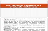 L 5 Microbiologia Zaharului, Produselor Zaharoase Si Ciocolatei