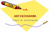 Lp 10 Microb Antibiograma II