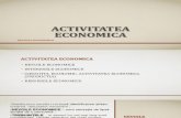 ACTIVITATEA ECONOMICA