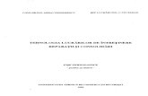 Tehnologia Lucrarilor de Intretinere, Reparatii Si Consolitari - FISE - Teodosescu-Budan