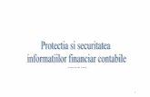 Protectia Si Securitatea Informatiilor Financiar-Contabile