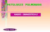 Radio Imag.pulm 2