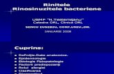 Rhinosinuzitele bacteriene acute şi cronice.ro