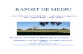 RAPORT DE MEDIU ROMRUS varianta finala(1).pdf