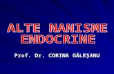 Alte Nanisme Endocrine Ian 2012