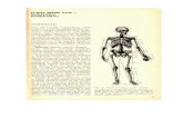 ANATOMIA OMULUI VOLUMUL I  4.Stiinta Despre Oase-Osteologia