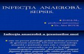 Prezentatia Infectia Anaeroba. Sepsis (Slaid 58)