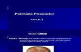 Patologia Pleoapelor