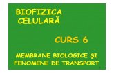 Curs6_1213 - BIOFIZICA
