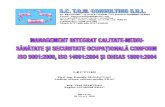Management Integrat Calitate Mediusecuritate2005