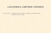 c7-Llc + Limfoame + Transfuzii