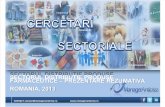 Sectorul Distributie Produse Farmaceutice - Prezentare Rezumativa