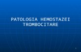 Patologia Hemostazei Trombocitare Carmen