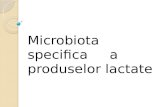 Microbiota Specifica a Produselor Lactate
