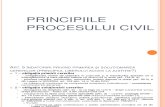 Slide 2 - Principiile Procesului Civil