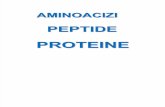 3_4 Aminoacizi Peptide