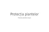 Protectia plantelor - GRIU.pptx