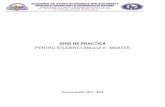 f2075-Ghid de Practica - MASTER 2013-2014 ase