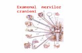 Explorarea nervilor cranieni