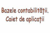 15962732 Bazele Contabilitii Caiet de Aplicaii[1]