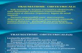 CURS 1.1 Traumatisme Obstetricale