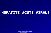 Hepatite Acute Virale Modificat