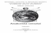 129743835 Anatomia Stefanet Vol 1
