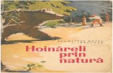 Hoinareli Prin Natura (1965)