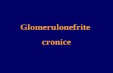 2011 Glomerulonefr Cronice