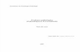 Evaluarea Psihologica - Psihodiagnoza Personalitatii.pdf