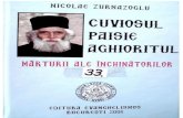 Nicolae Zurnazoglu, Cuviosul Paisie Aghioritul - Marturii ale inchinatorilor