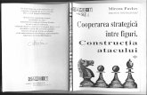Mircea Pavlov Cooper Area Strategic a Intre Figuri Constructia Atacului Vol1