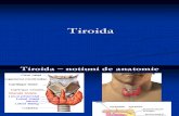Curs 5 - Tiroida Introducere, Tiroidite, Gusa1