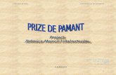 Proiect TMI Prize de Pamant