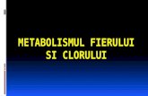 Metabolismul Fe Si Cl