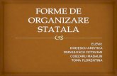 Forme de Organizare Statala