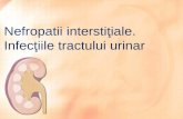 Infecţiile tractului urinar nefropatii interstiale1