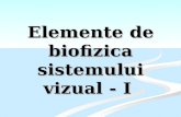 C5 Elemente de Biofizica Sistemului Vizual - II