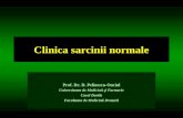 Clinica Sarcinii Normale