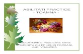 Abilitati Practice- Toamna
