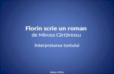 Florin Scrie Un Roman