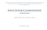 Curs Microeconomie