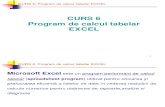 Curs 6 Program de Calcul Tabelar EXCEL