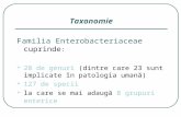 Curs 5 - Bacili Gram (-) Salmonella, Shigella