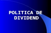 p19 Politica de Dividend