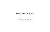Curs Neoplazia Generalit Delia Ciobanu 2011 2012 Actualizat 2013